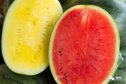 吃瓜如何更高级,解锁高级吃瓜艺术