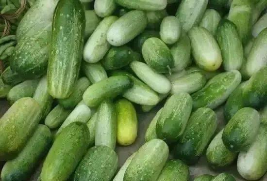 甘露山吃瓜,一场别开生面的吃瓜盛宴