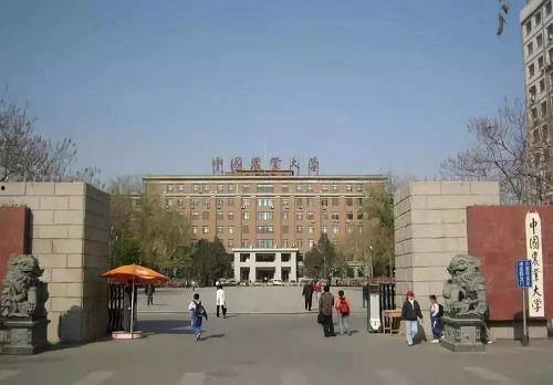 学校校门吃瓜事件,一场校园内的意外事件引发的舆论漩涡